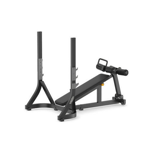 Technogym Olympic Decline Bench