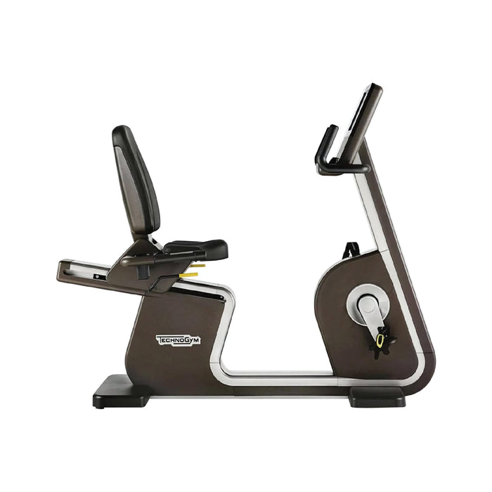 Technogym Recumbent Bike Artis Unity